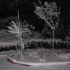 In the winter