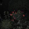 Even at night