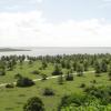 Mangue Seco