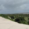 Mangue Seco