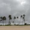 Une plage du Brésil