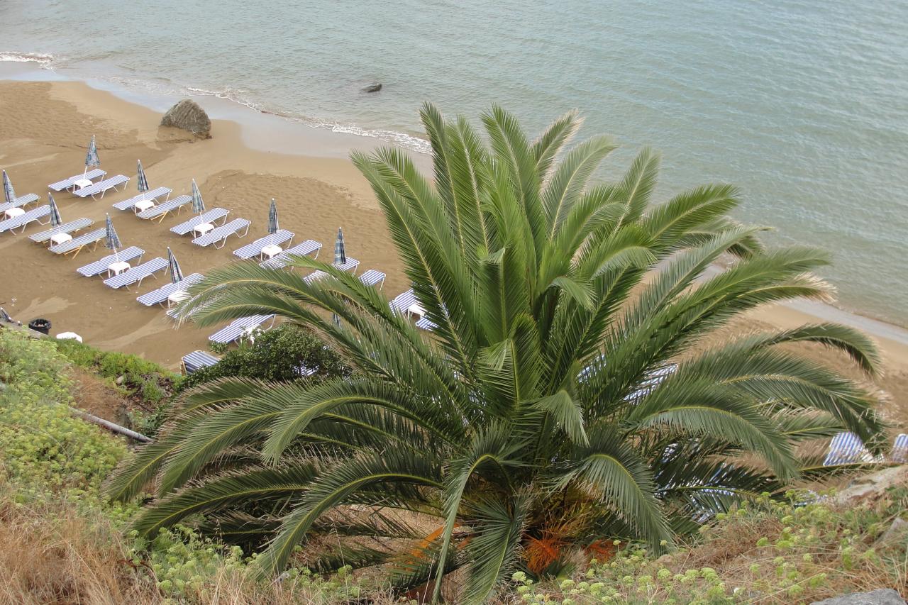 Une plage de Panormo