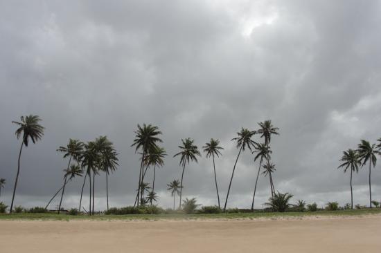 Une plage du Brésil
