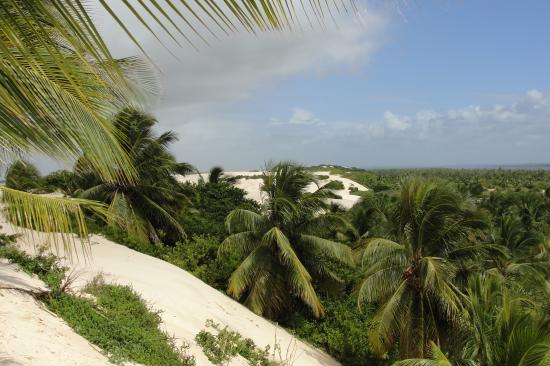 Mangue Seco (Brésil)