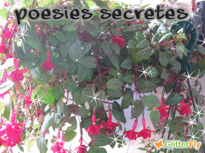 poésies glitter.gif